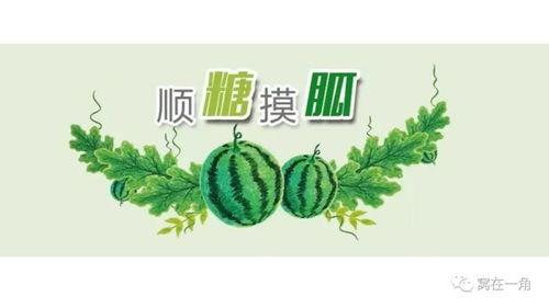 吃二甲双瓜会拉黑血么,揭秘拉黑血真相”