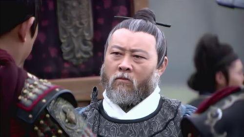 李辞官在线观看,揭秘官场风云，在线观看带你领略职场智慧