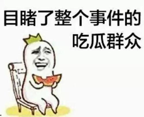 你爆料我吃瓜沙雕动画,揭秘幕后故事，带你领略网络热梗的魅力