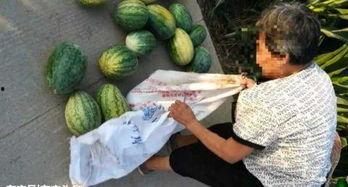 陕西吃瓜最新事件爆料,最新爆料揭秘惊人内幕”