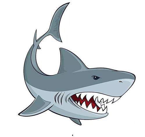 粘土鲨鱼作品图片大全