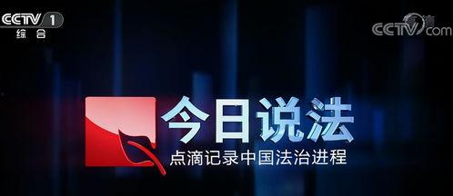 在线观看今日说法,揭示社会热点事件背后的真相与反思