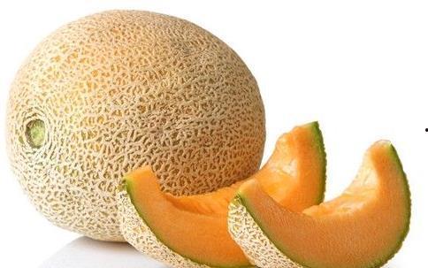 今日双福哈密瓜价格
