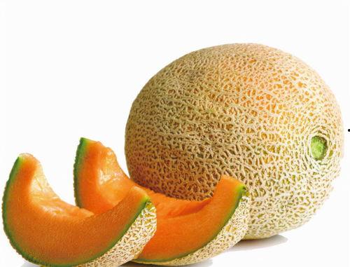 今日双福哈密瓜价格