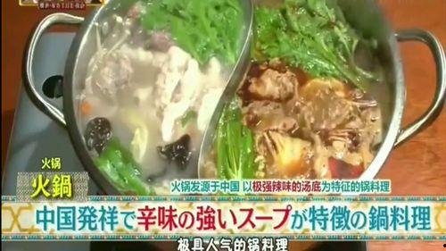 日本综艺中华料理,美食之旅与文化碰撞