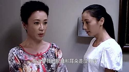 奇怪的保姆国语,一段离奇的家庭雇佣故事