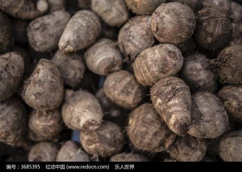 芋头的图片,田园里的“地下珍珠”，营养丰富的健康佳品