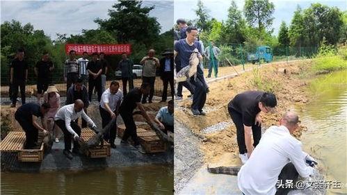 土龙的图片,古老传说与自然奇观