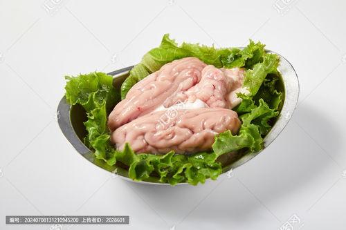 猪脑图片,揭开动物大脑的神秘面纱