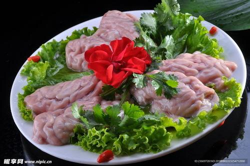 猪脑图片,揭开动物大脑的神秘面纱