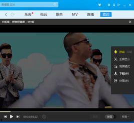 下载mp4歌曲视频,轻松获取心仪音乐瞬间