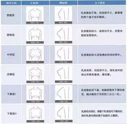 胸型图片,图片解析不同胸型特点