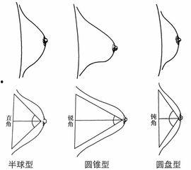 胸型图片,图片解析不同胸型特点