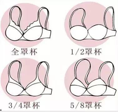 胸型图片,图片解析不同胸型特点