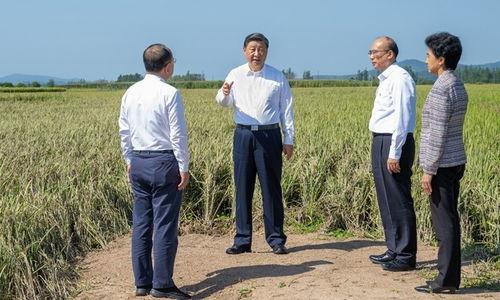 黑料吃瓜网站鄂州一家人,黑料吃瓜网站掀起热议风暴