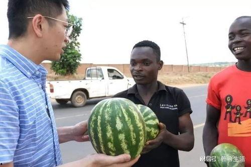 黑料吃瓜网站鄂州一家人,黑料吃瓜网站掀起热议风暴