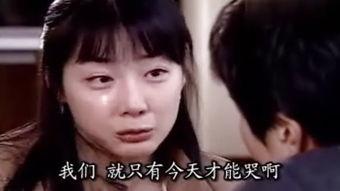 国语版韩剧大全,穿越时空的情感之旅