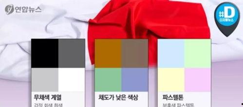 韩国色网,网络文化现象背后的社会洞察