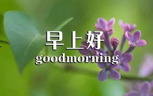 周未快乐图片大全带字,图文并茂的欢乐瞬间集锦