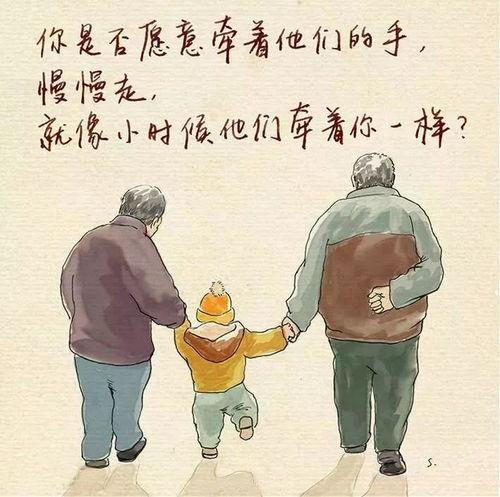 孝顺视频,视频中的温馨瞬间