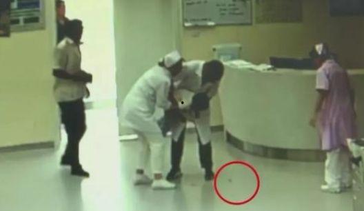 护士在线高清在线观看,护士在线工作瞬间，揭秘医疗现场真实画面