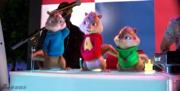 鼠来宝4国语版,萌宠大冒险——欢乐逗趣，萌宠集结，共度奇幻之旅