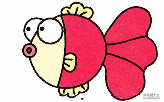 金鱼怎么画图片大全,从入门到精通的图片解析