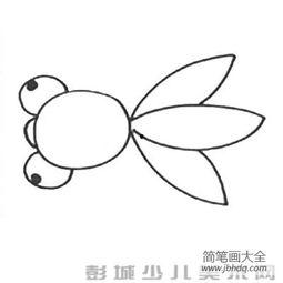 金鱼怎么画图片大全,从入门到精通的图片解析
