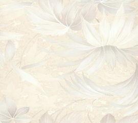 综合色图片,综合色图片背后的故事与启示