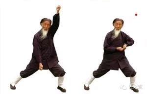 金刚功视频,揭秘古老养生秘籍，轻松入门强身健体之道