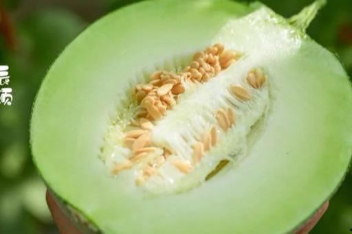 贵阳今日玫珑蜜瓜批发价,玫珑蜜瓜批发价走俏，甜蜜来袭！