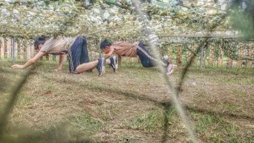 普罗米斯修在线观看,在线观看，揭秘神秘力量的奇幻之旅