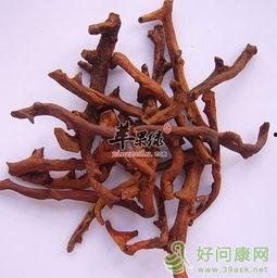 骨碎补中药图片,古老中药的现代应用解析