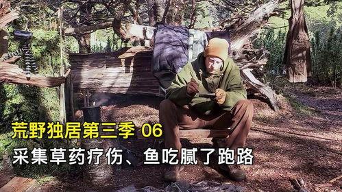 荒野求生中国语,挑战极限，探索生存智慧