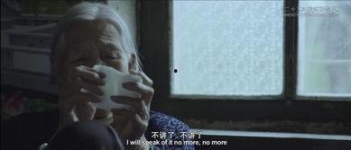 日本慰 安妇电影,日本慰安妇电影的悲鸣与反思