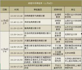 课程表图片大全,揭秘校园生活精彩瞬间