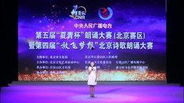 理想朗诵视频,理想视频中的情感共鸣之旅