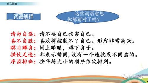 语文微课视频,语文知识要点精讲