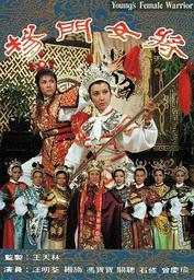 杨门女将电视剧国语,传奇巾帼，保家卫国