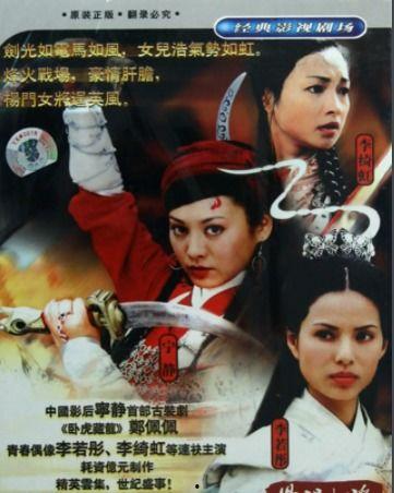 杨门女将电视剧国语,传奇巾帼，保家卫国
