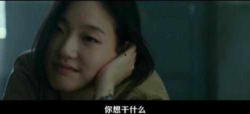 韩国最近的电影,探索近期热门电影的视觉盛宴