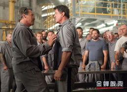 电影金蝉脱壳国语版,逃脱的艺术与智慧对决