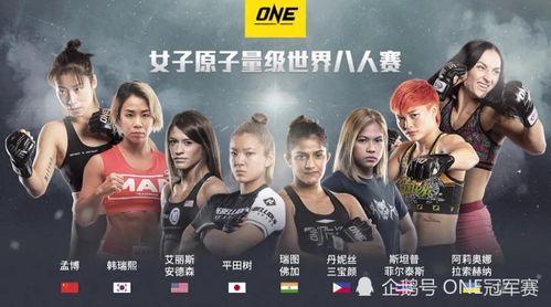 法拉赛人在线观看韩国,探索韩国文化的魅力之旅