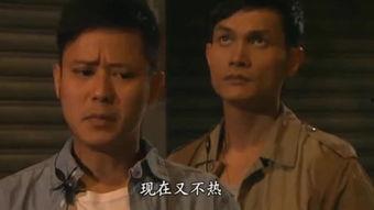 潜行阻击国语在线观看,暗夜猎手，在线揭秘