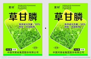 酸草图片,自然界的神秘之草