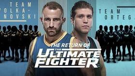 终极斗士4国语版,热血重生，战神归来