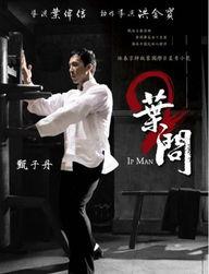 电影叶问2国语,再战江湖——传承武术精神，捍卫民族尊严