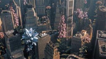 岛国爱情动作片在线观看