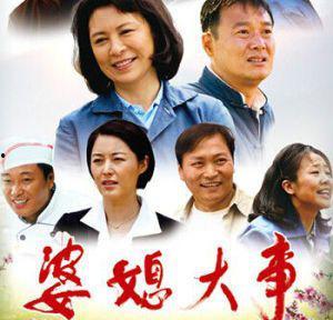 婆媳大事-在线观看,家庭关系的微妙平衡与智慧较量