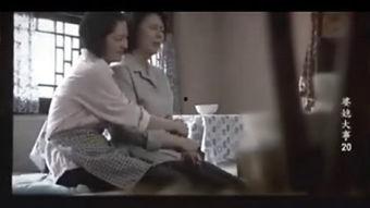 婆媳大事-在线观看,家庭关系的微妙平衡与智慧较量